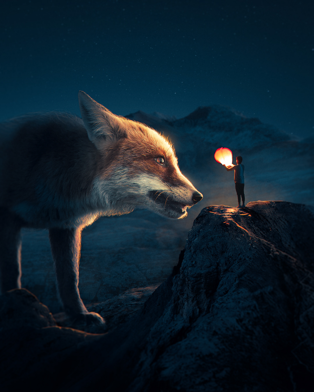 darkness FOX lantern light man mountain Nature night orange