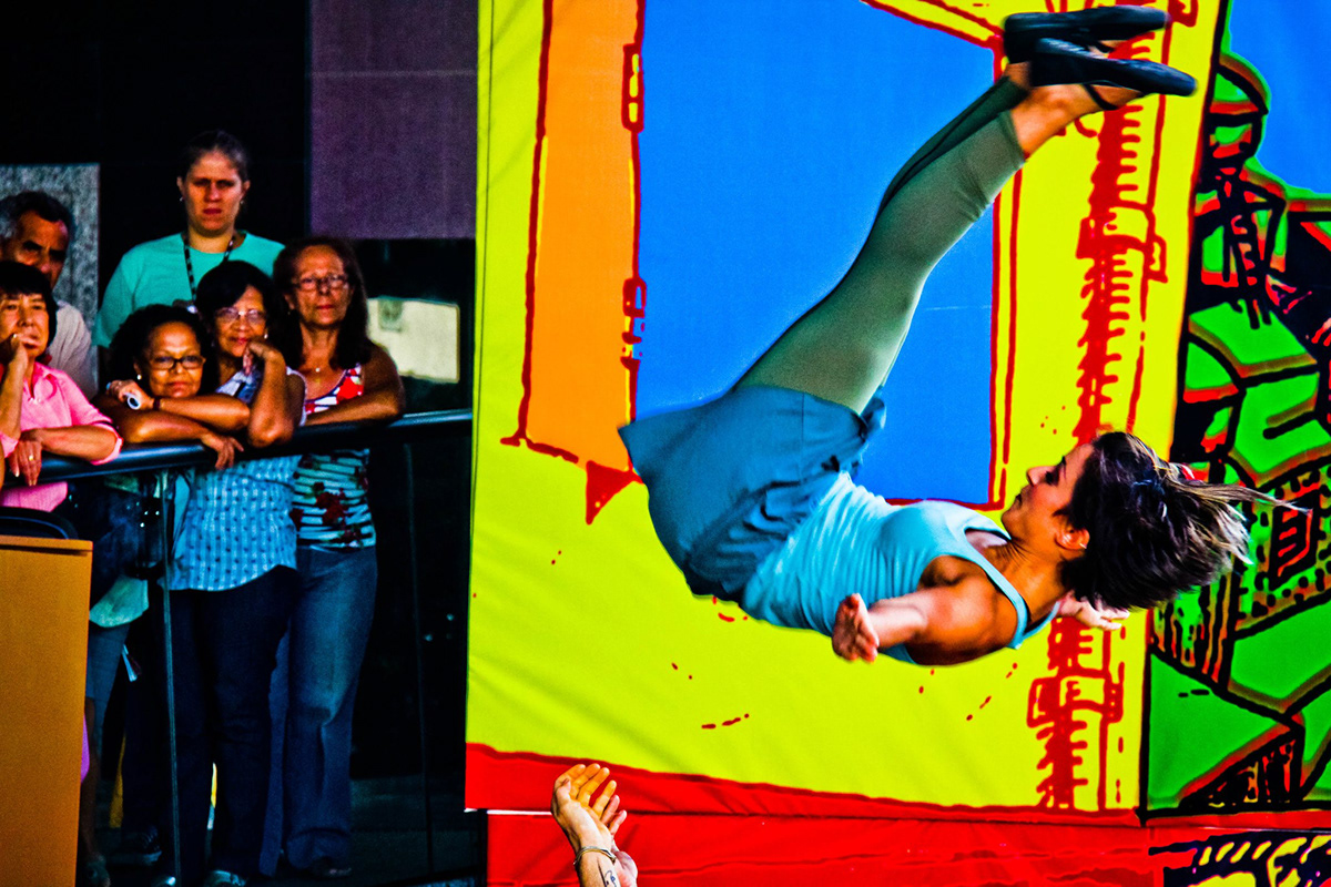 DANCE   acrobatics duo trapeze lira Aerial Hoop Acrobático Fratelli