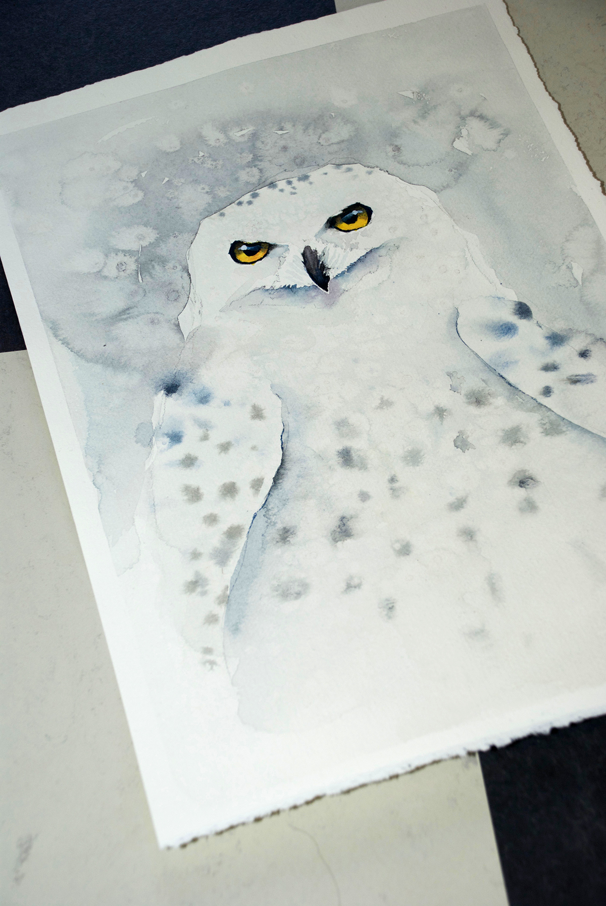 watercolor Snowy owl owls owl