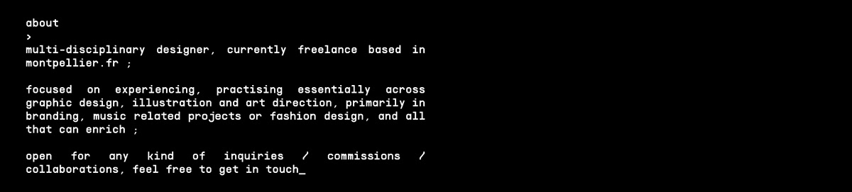 animation  css dark theme identity interaction Responsive ui ux Website JavaScript source code