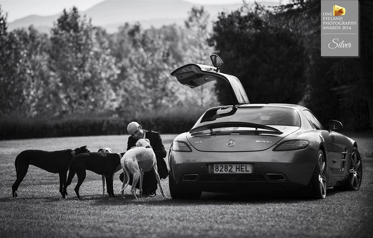 FINEART book elegance automotive   McLaren FERRARI mercedes ricardo miras david casas oneeyeland2014 silver