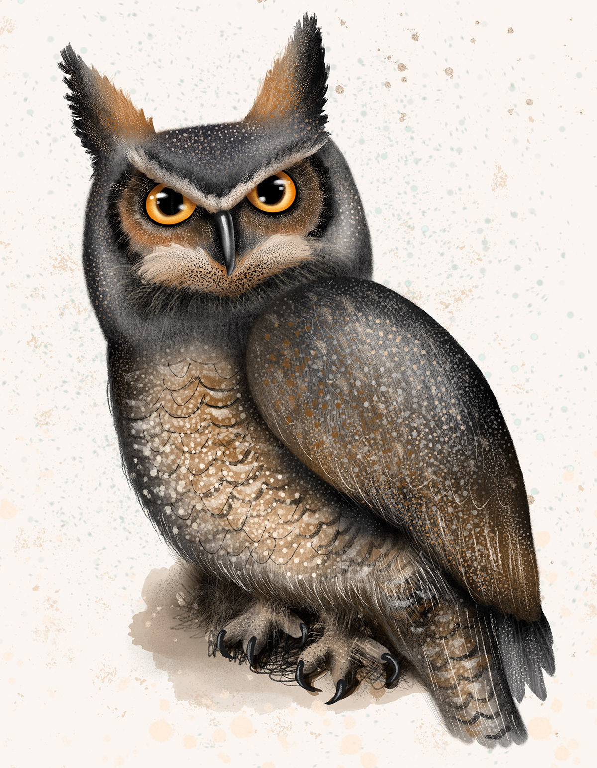 animal bird Character design  digital illustration illustrations illustrations for kids Nature owl wood hummingbird