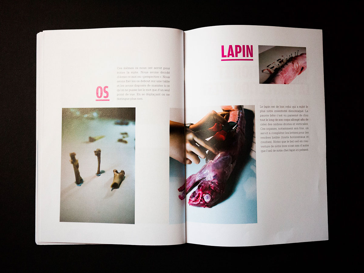 Adobe Portfolio sagmeister brain octopus Booklet book hair rabbit meat photo