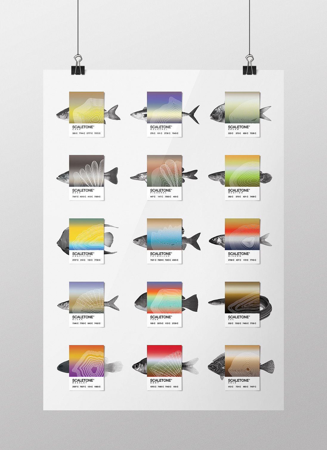 fish scale patone color system pattern poster