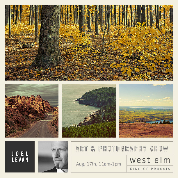 west elm art show Art Gallery  Joel LeVan Retail Collaboration
