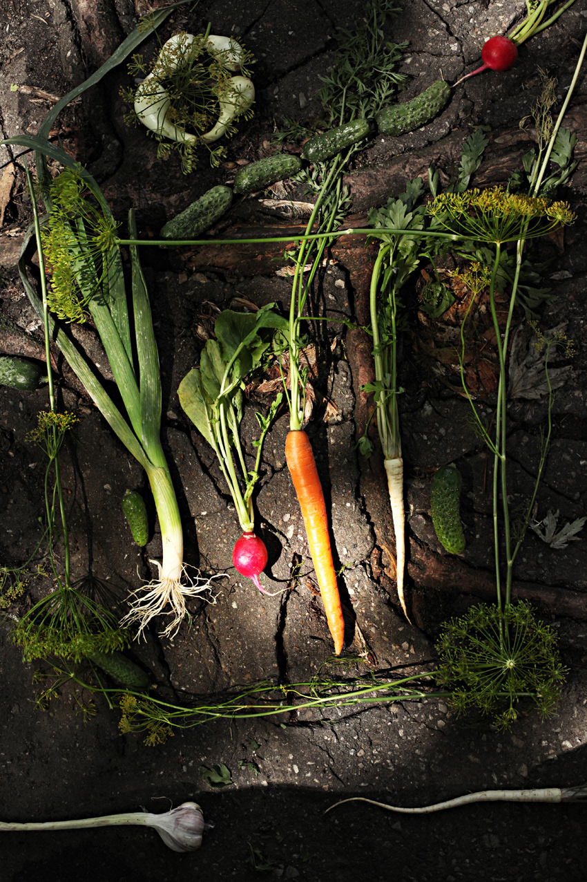 organic  vegetables vegetables green carrot food photography