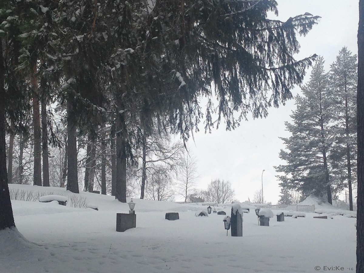 Norland suede laponie neige misanthropie