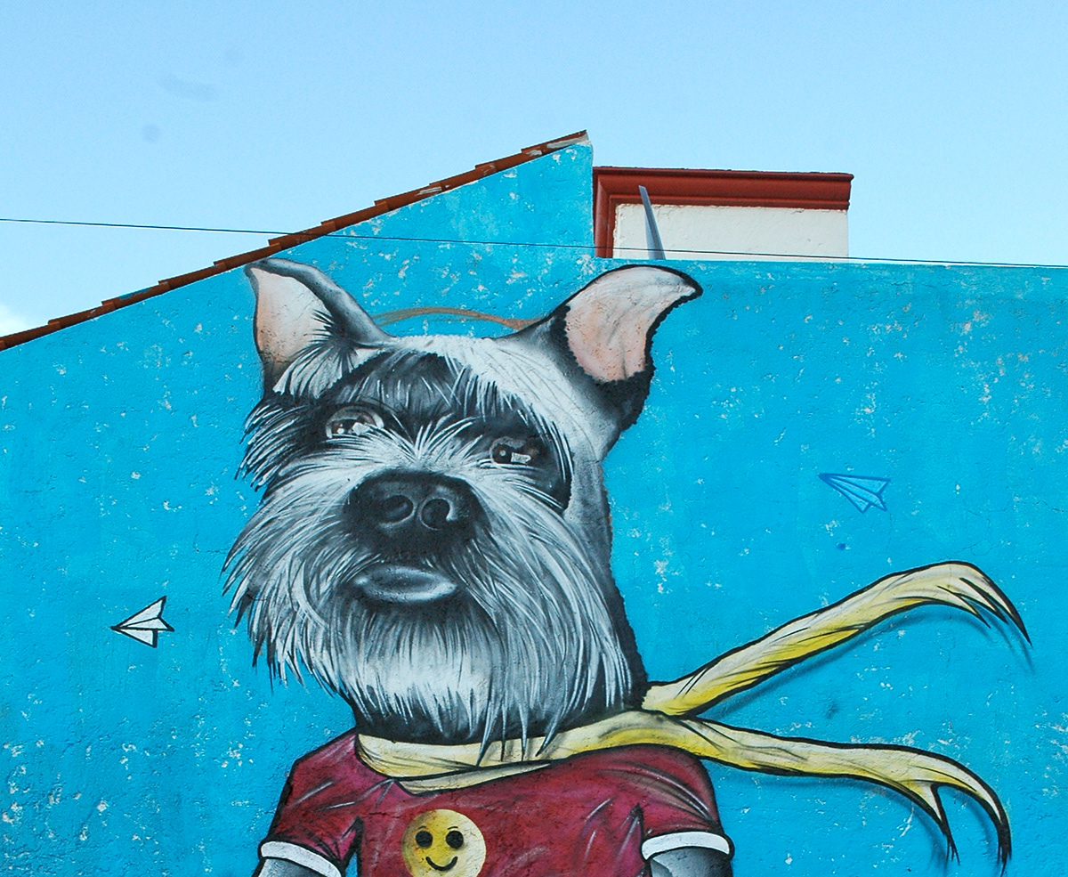 #graffiti #Trazo #Calle #Tiempo de perros #mascota