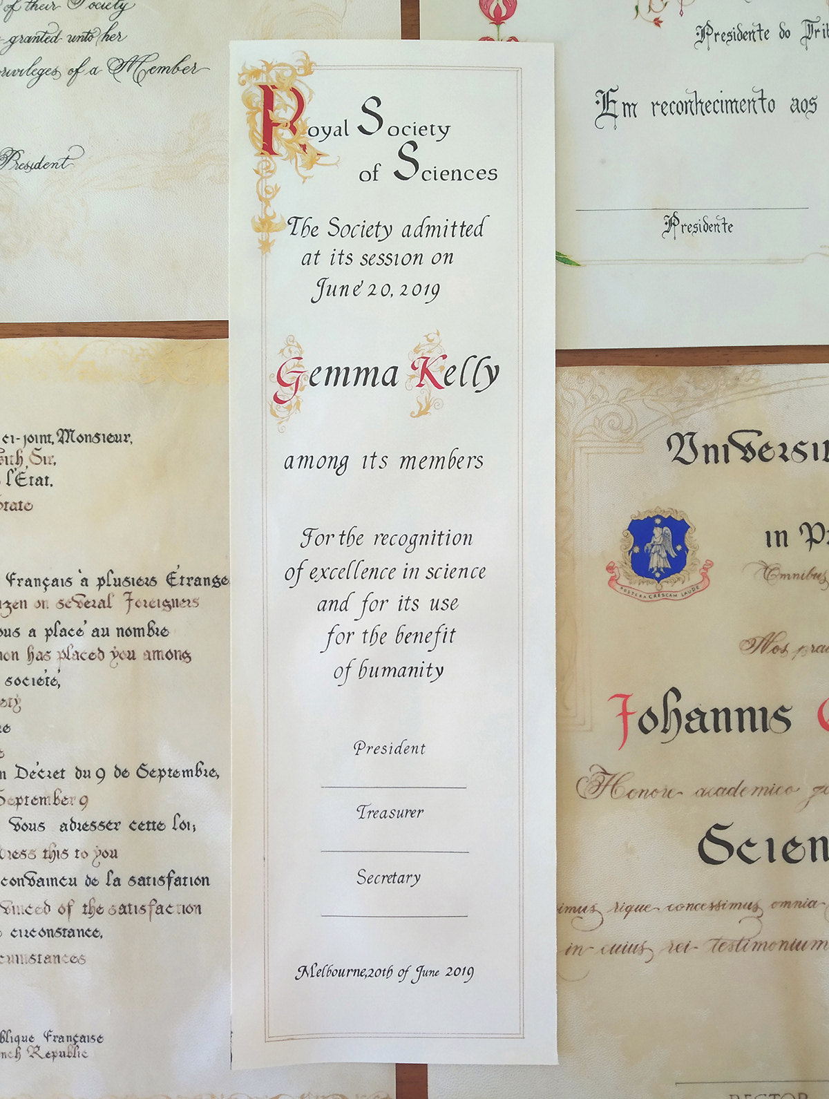 Membership diploma made of ink and gouache on goatskin parchment