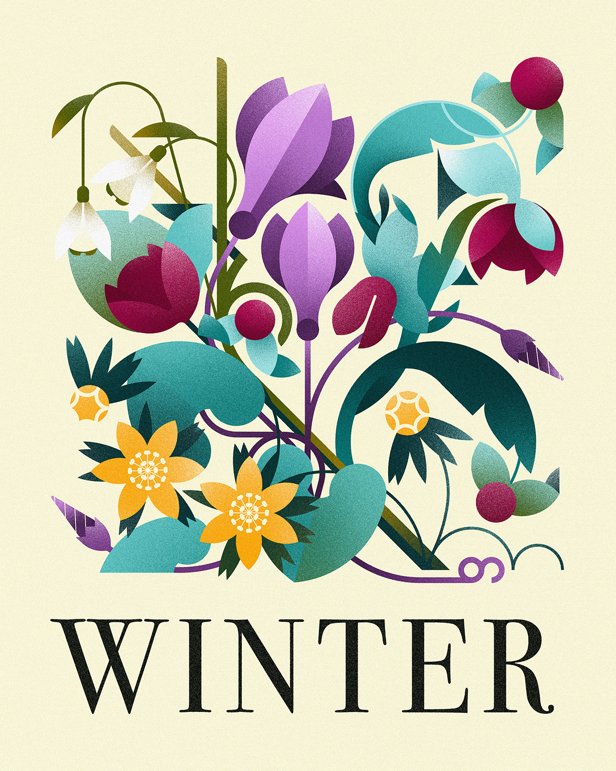 botanical illustration design graphics minimal Nature plants seasons vector