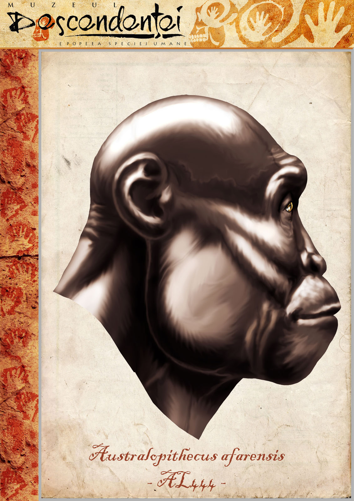 australopithecus afarensis human evolution hominid homo sahelanthropus ardipithecus kenyanthropus paranthropus habilis ergaster erectus floresiensis antecessor