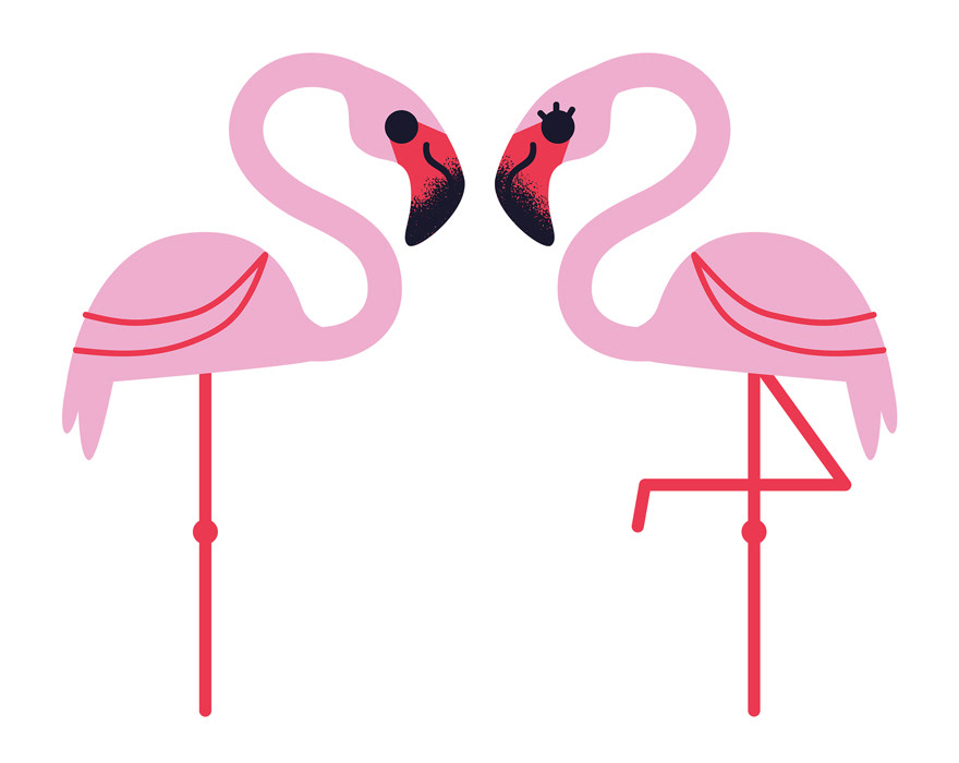 flamingo bird cute valentines day valentines Love heart pink vector ILLUSTRATION 