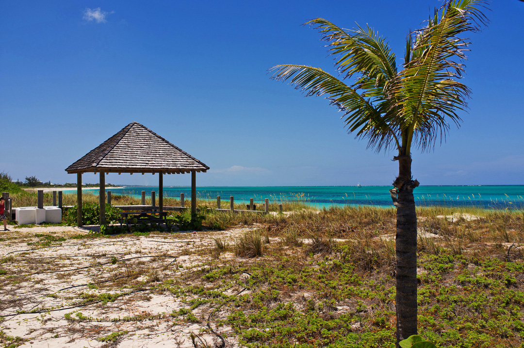 Ecology Nature conservation turks and caicos