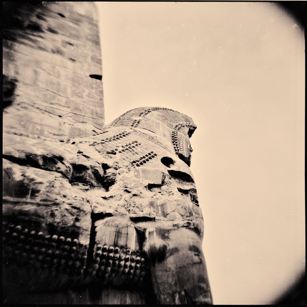 Iran Persepolis monochrome