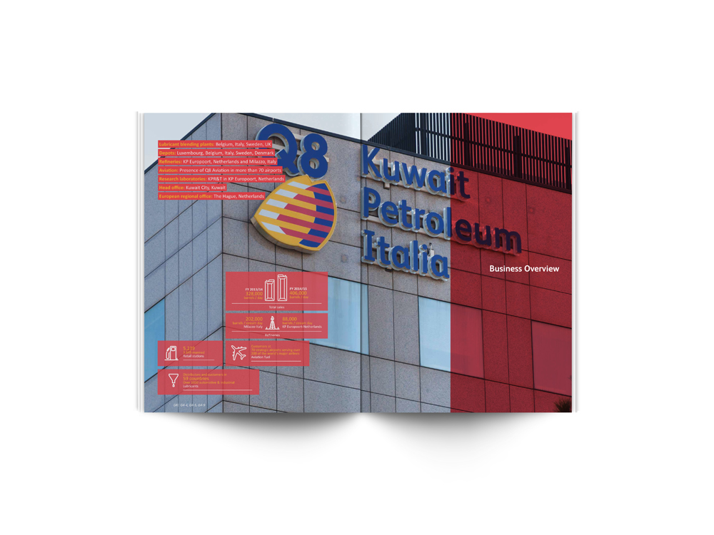 publication graphic design  info-graphics visual design Layout editorial