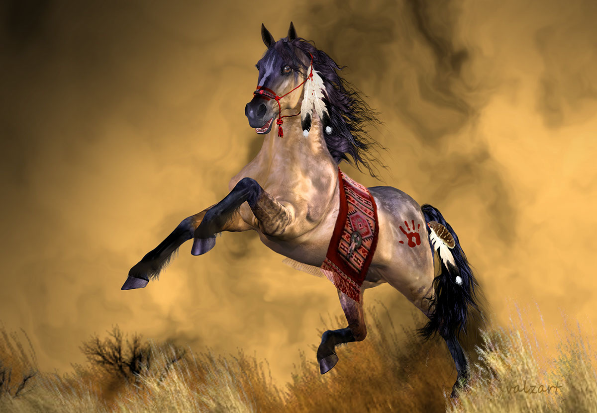 art equine horses desert black Landscape valzart horse free gallop Breeds wild ponies