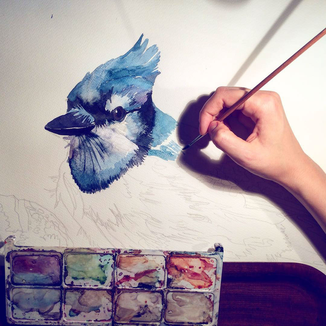 bird birds watercolor majawronska maja wronska takmaj Architectural watercolors watercolour watercolors cute colors