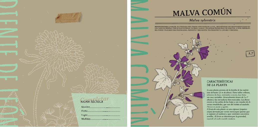 diseño editorial ilustracion herbario design