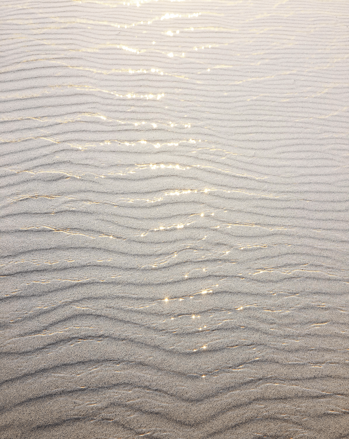 abstract beach Landscape lightroom Nature Nikon Photography  seascape shoreline water