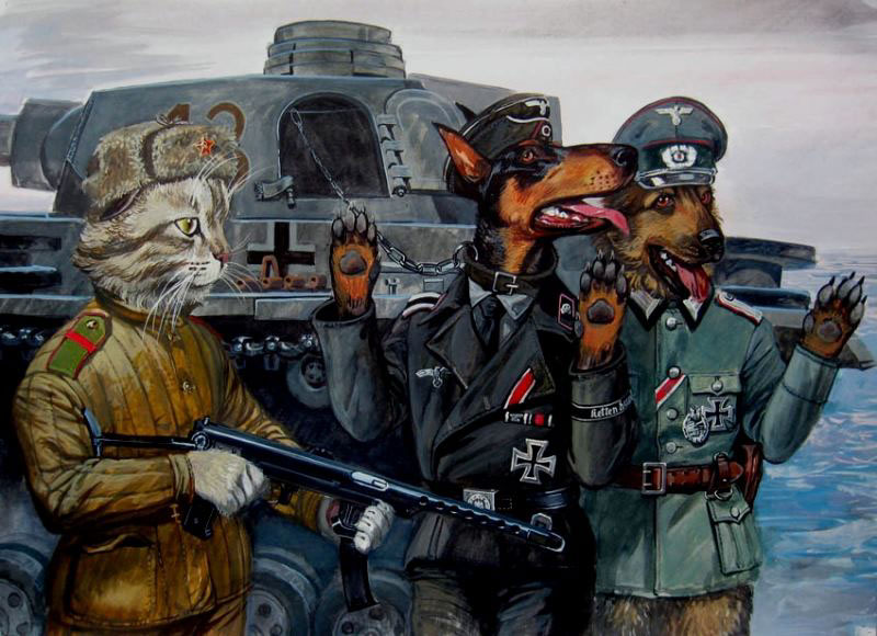 Second World War cats funny soldiers battle Cat uniform Soviet Union
