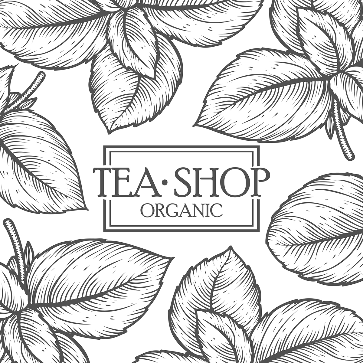 tea cup banner drink vector design green ILLUSTRATION  cafe shop