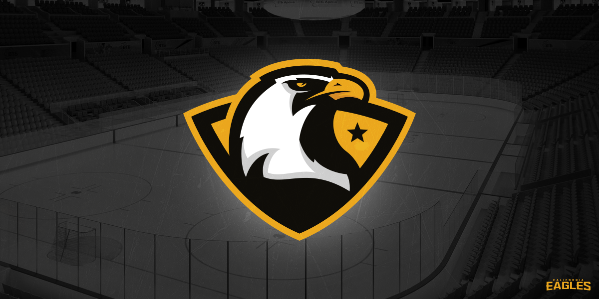eagles Sports logo logo sports brand for sale Mascot matt doyle matthew doyle fraser davidson vector design bird logo Icon