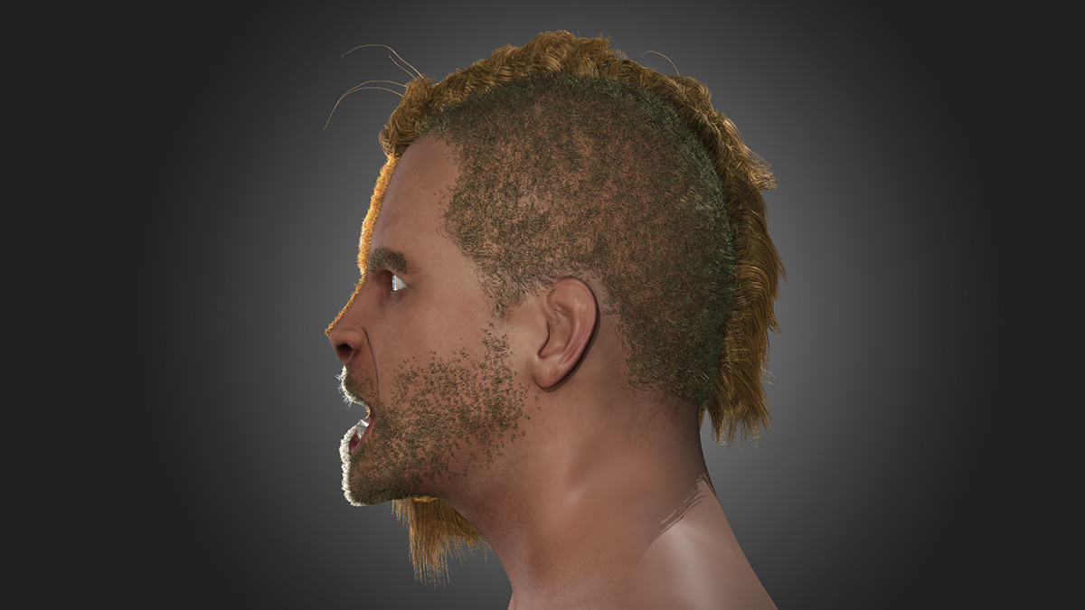 face head realistic animal human half integration vfx hair shiny lion Fur portrait game model