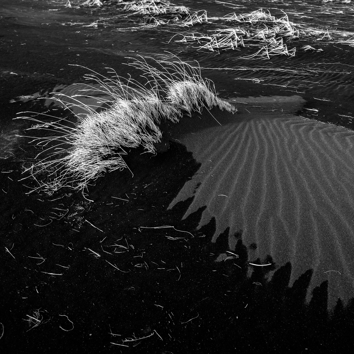 iceland dunes ice black & white winter cold Landscape metaphor