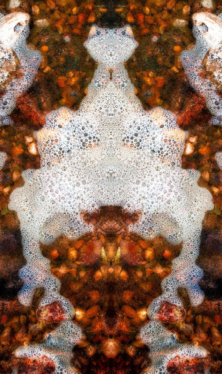 symmetry decor Totem symbolism abstract color design inkblot organic alien