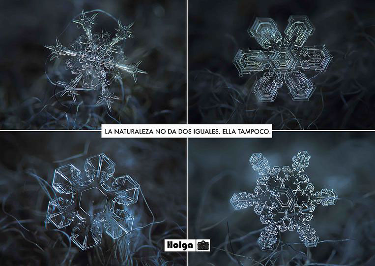 photo Lomography holga Unique Particular ice scoop copo nieve Fractales