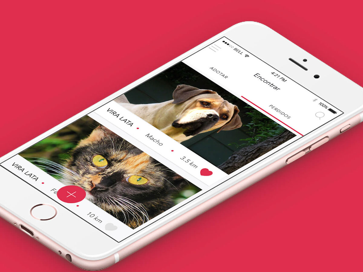 app Pet flat design Interface Cat dog Mobile Application branding  ux