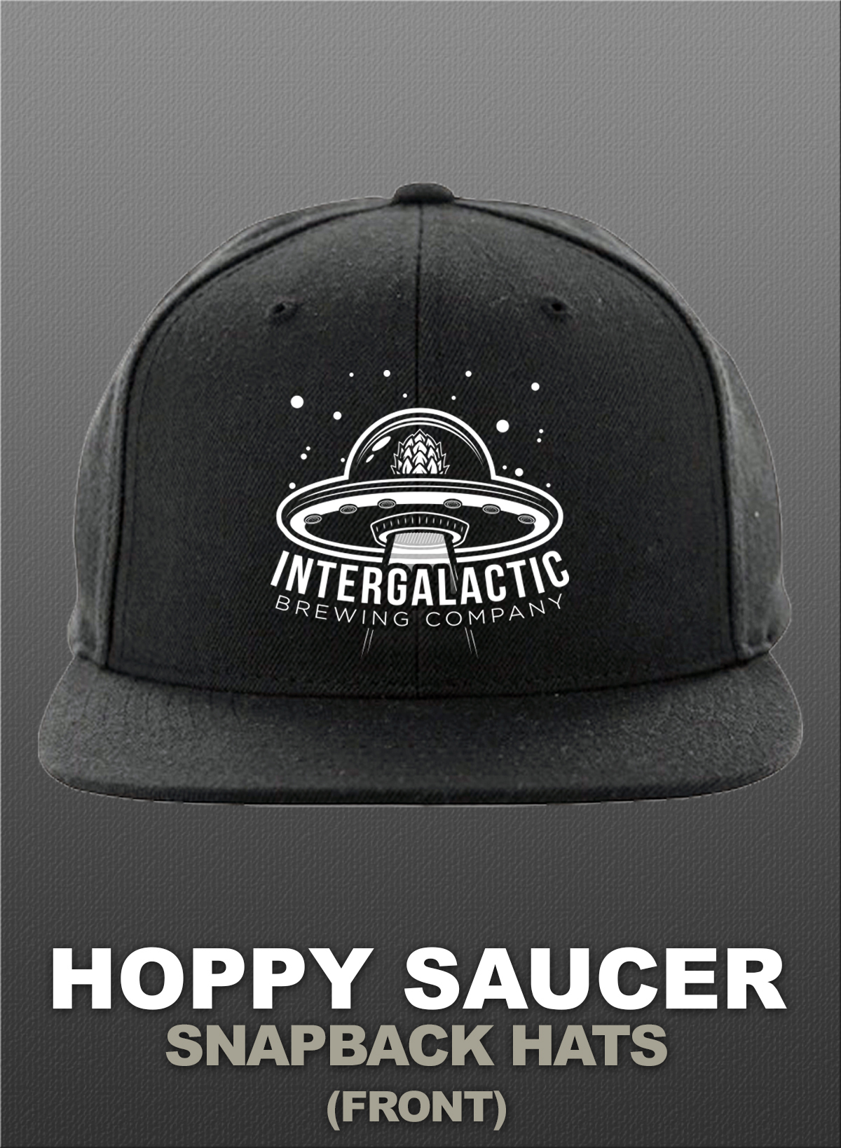Intergalactic Brewing Company craft beer drink local brewery San Diego beer sci-fi science fiction flying saucer