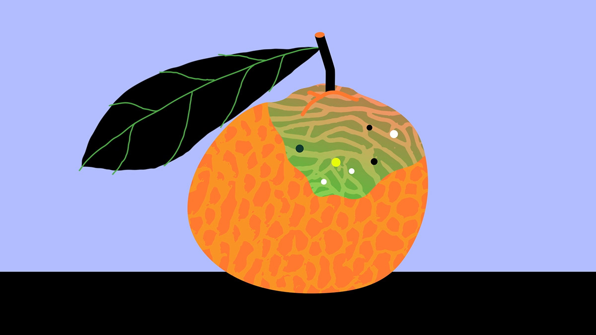 Frame from a motion graphic video about the importance of biodiversity