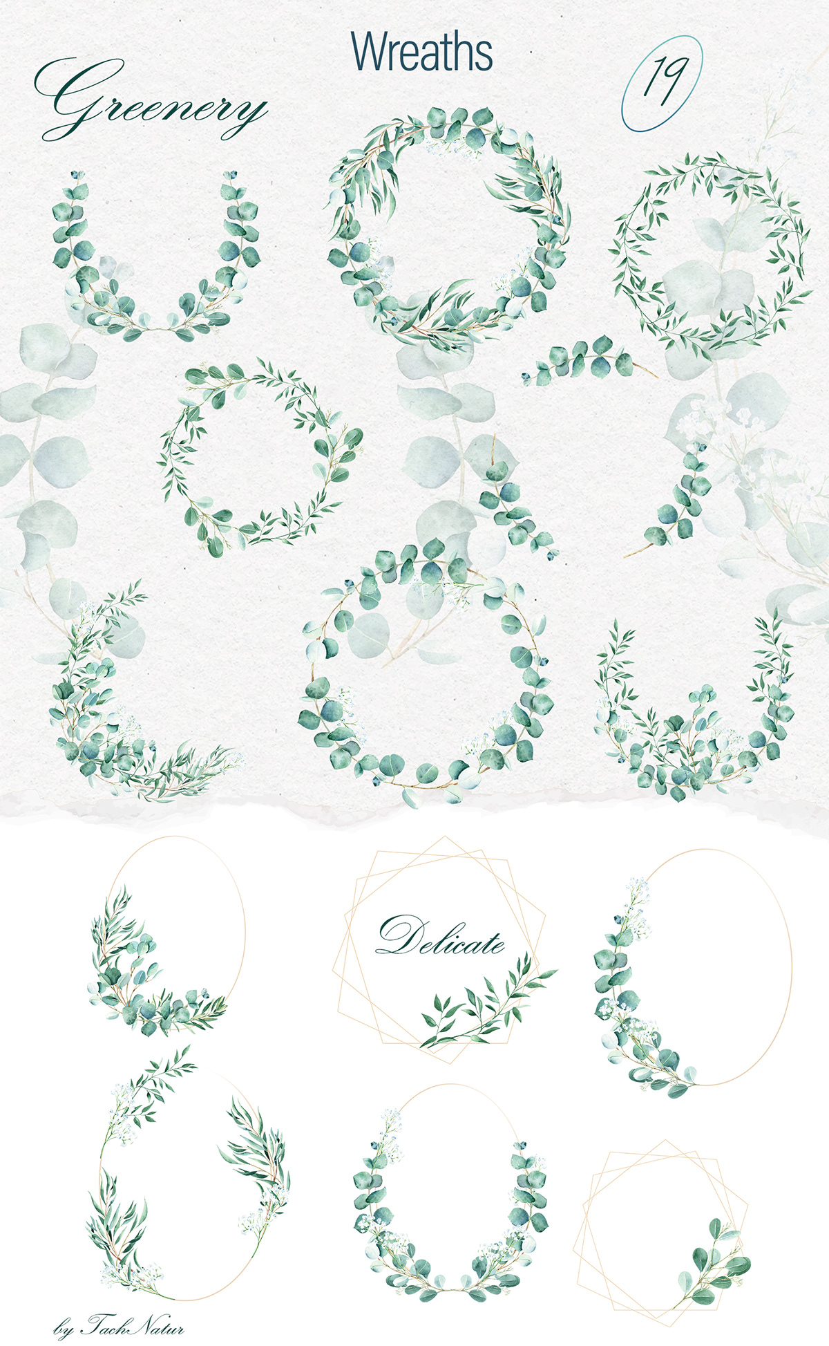 watercolor illustration hand drawn greenery glass Vase clipart floral botanical Nature eucalyptus