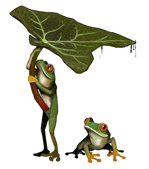 frog prince evolution evolucion Rana principe autoayuda sapo