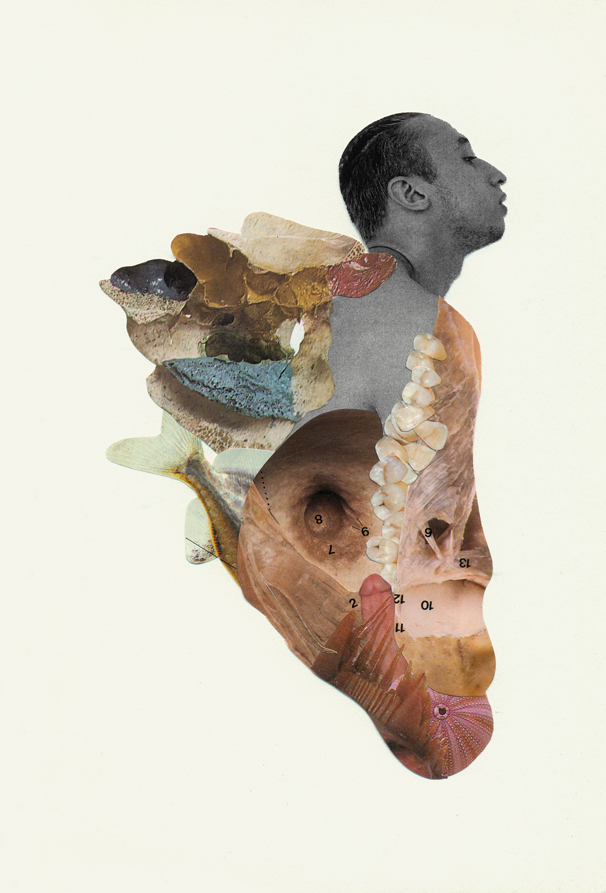 collage Collageart mar monsters Monstruos Nattan papercut sea