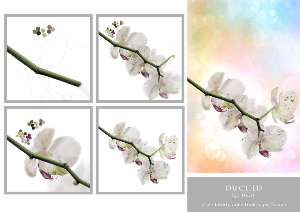 digital painting lifestyle orchid flower