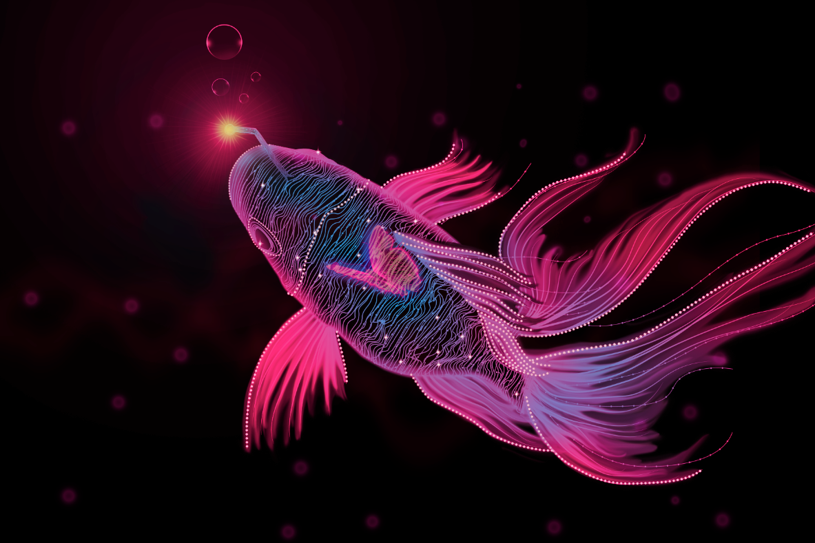 neon Cat fish butterfly pig light black
