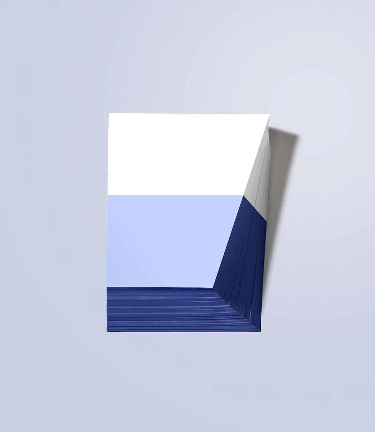 paper branding  animation 