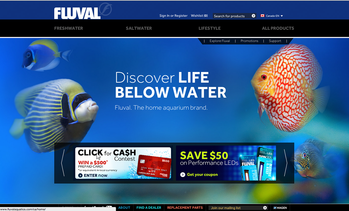 newsletter contest cash fish Discus Treating Fluval Web Banners online graphic visual watch read enter win
