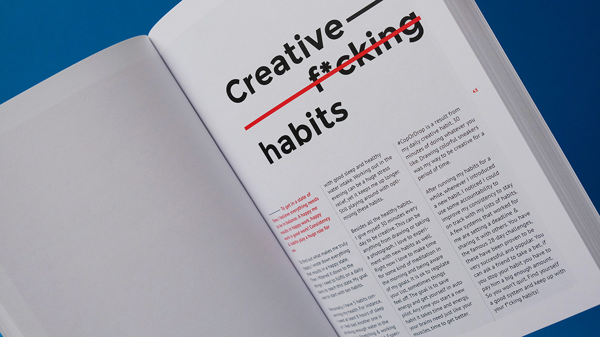 book Digital Art  typography   editorial portrait Colourful  adobe ILLUSTRATION  screenprint