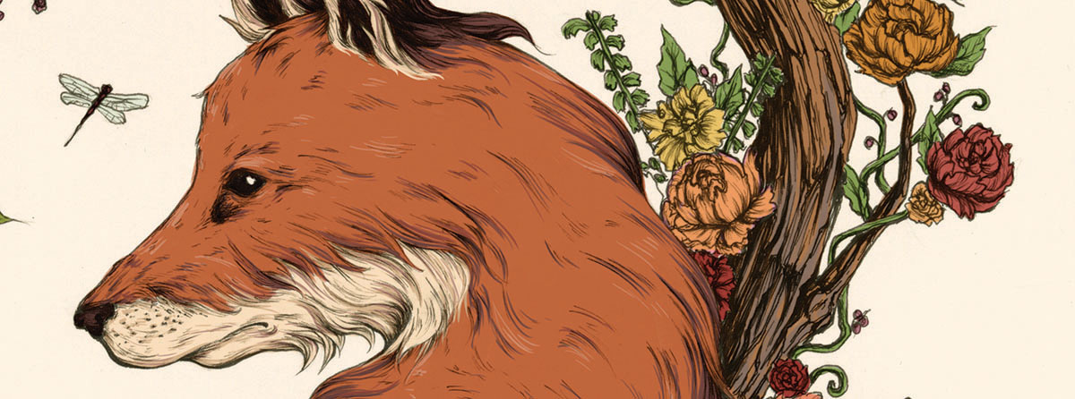 scientific illustration Flora fauna ink animals woodland forest FOX print