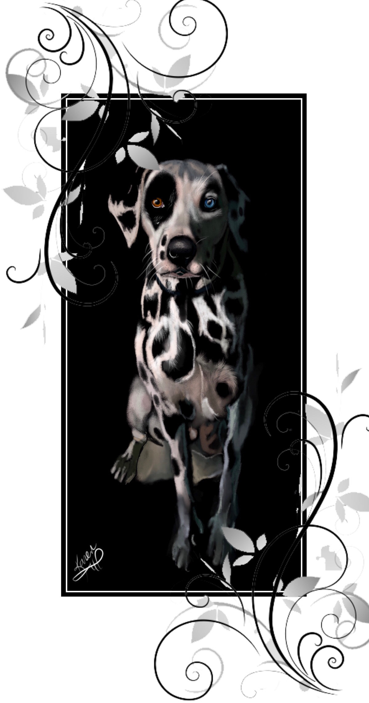 Digital Art  digital painting Drawing  illustrations animals dogs canine dalmatian