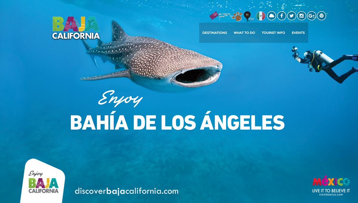 Turismo tourism marketing turistico  mexico baja california Web Architecture Web Design 