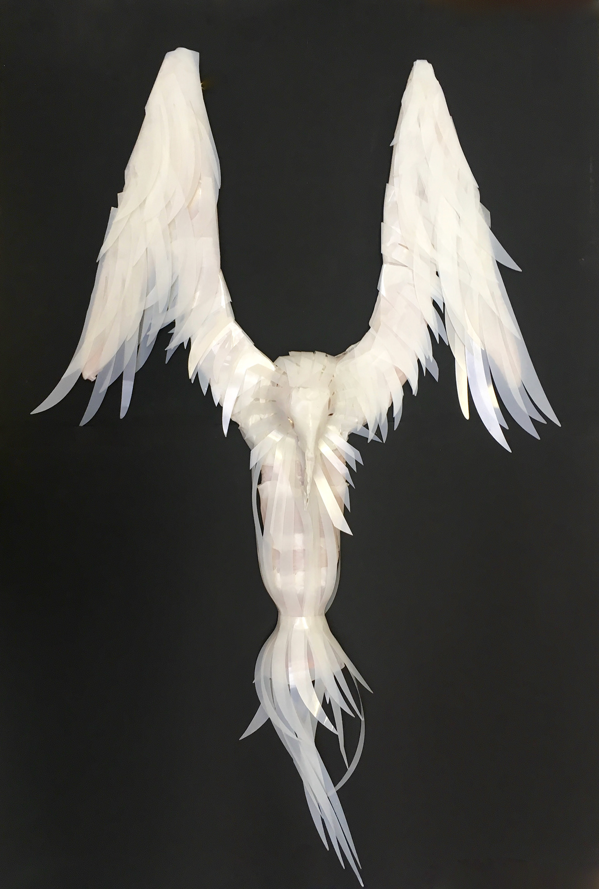 Rachel Reid Albatross Sculpture 2018 Resonance