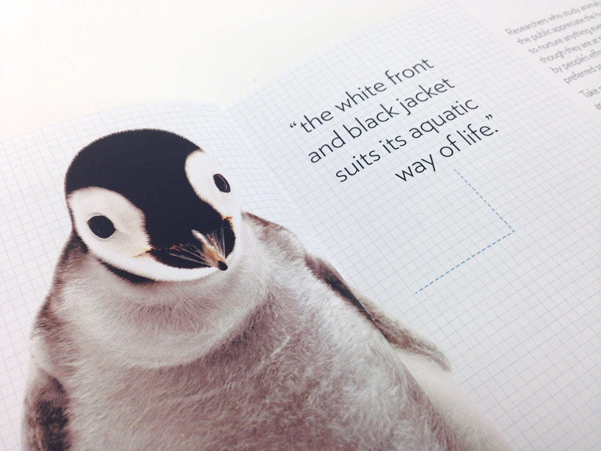 animals cute the cute factor New York Times article book design science