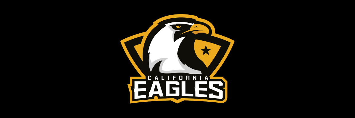 eagles Sports logo logo sports brand for sale Mascot matt doyle matthew doyle fraser davidson vector design bird logo Icon