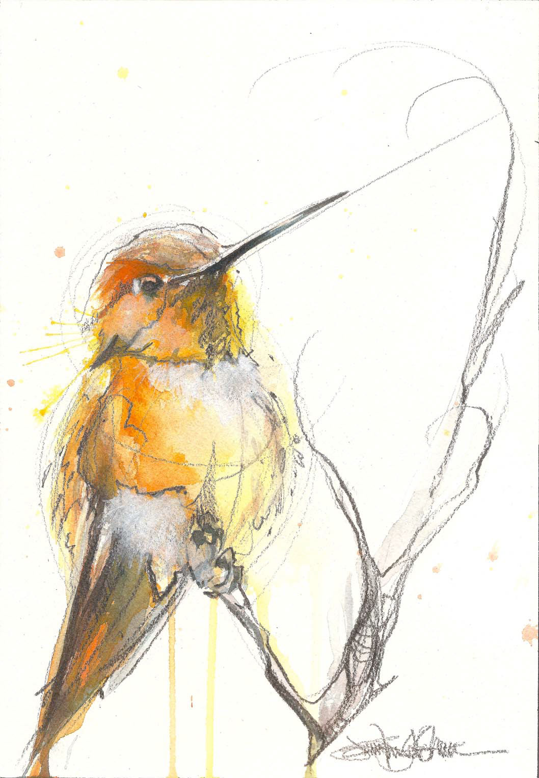 watercolor  Jennifer Kraska FOX hummingbird  koi  fish 
