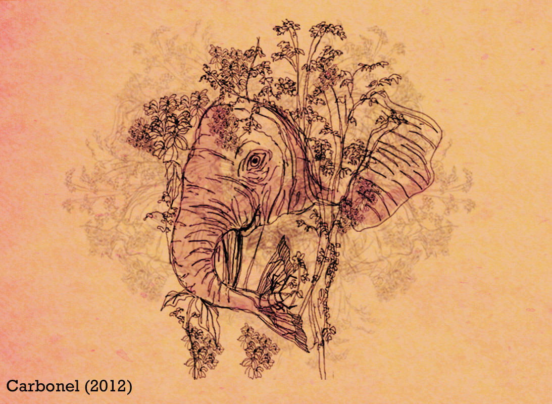 Flowers face rose lines smoke man woman blow girl mountain indie illustration elephant fish
