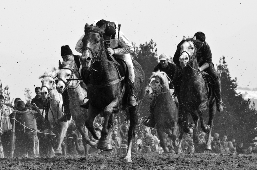 horse race traditional reportage